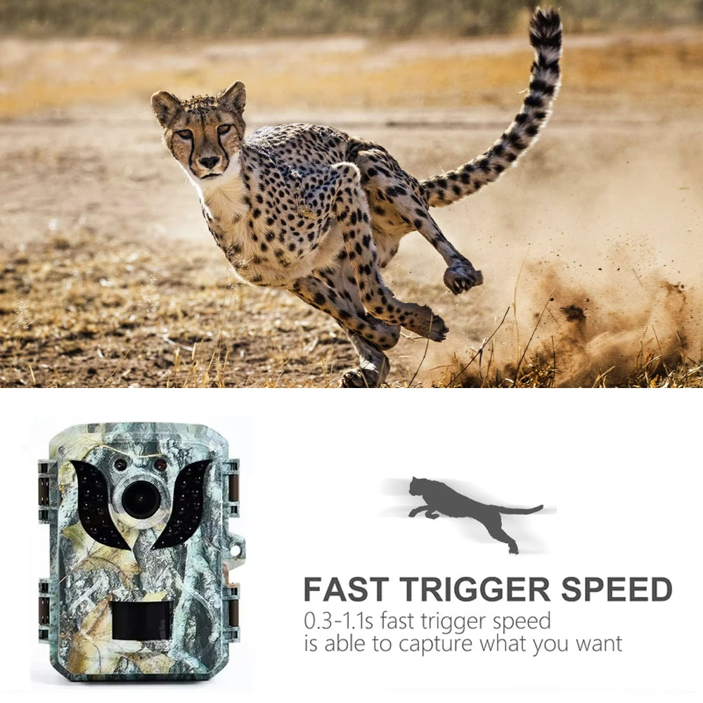 Outdoor Trail Camera with Night Vision and 90 Degree Motion Detection