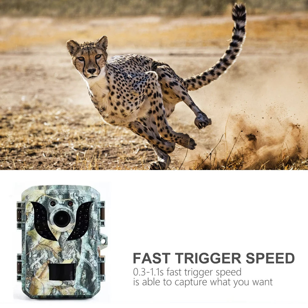 Outdoor Trail Camera with Night Vision and 90 Degree Motion Detection