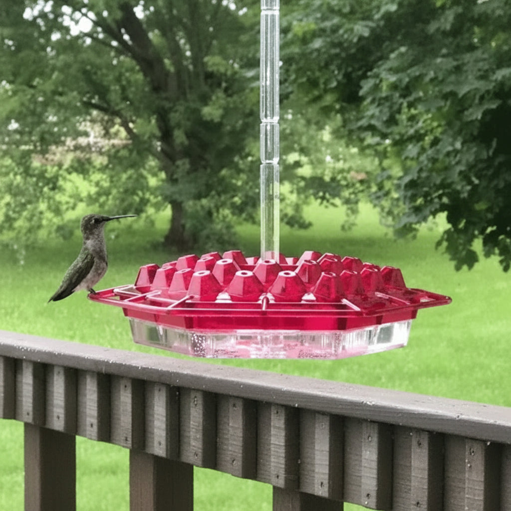 Hummingbird Feeder with Ant Moats and 30 Flower Shaped Ports, Hanging Design