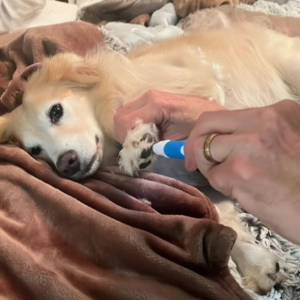Dog Paw Trimmer with Ceramic Blades and LED Light, 35dB Quiet Motor