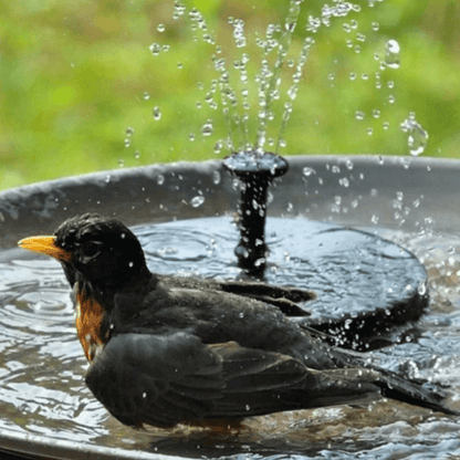 Solar Water Fountain Pump with Four Spray Nozzles and Adjustable Height