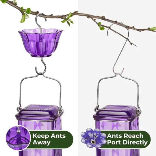 Glass Hummingbird Feeder with Six Feeding Ports and Ant Moat, 24oz Capacity