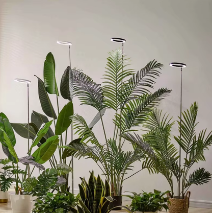 Ring Grow Light with Adjustable Height and Timer Control for Indoor Plants