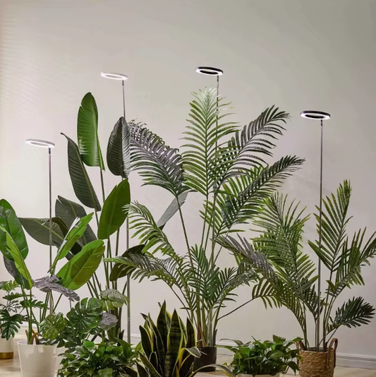 Ring Grow Light with Adjustable Height and Timer Control for Indoor Plants