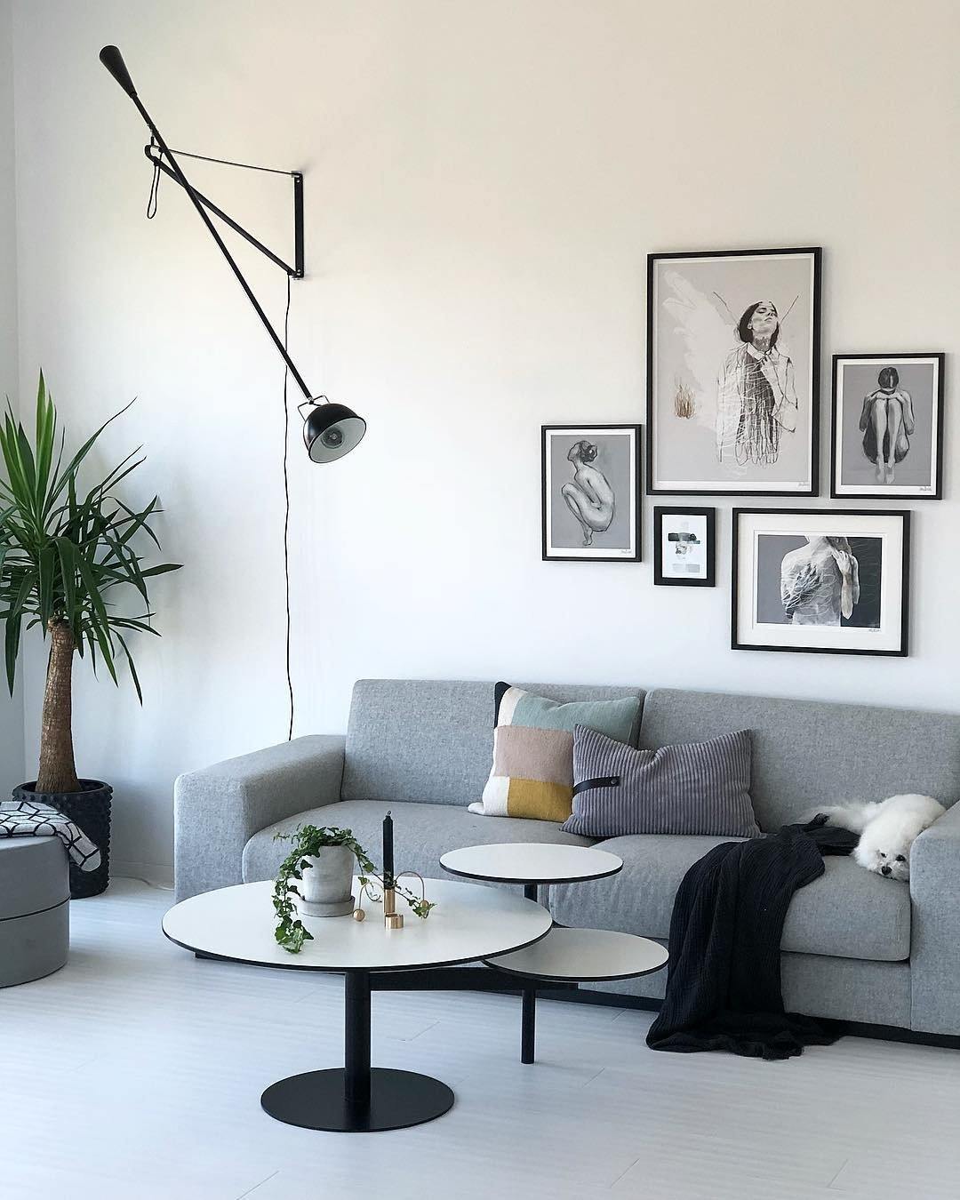 Adjustable Wall Lamp with Extended Arm and Cast Iron Counterweight, Hardwired