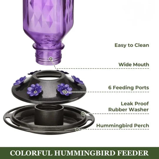 Glass Hummingbird Feeder with Six Feeding Ports and Ant Moat, 24oz Capacity