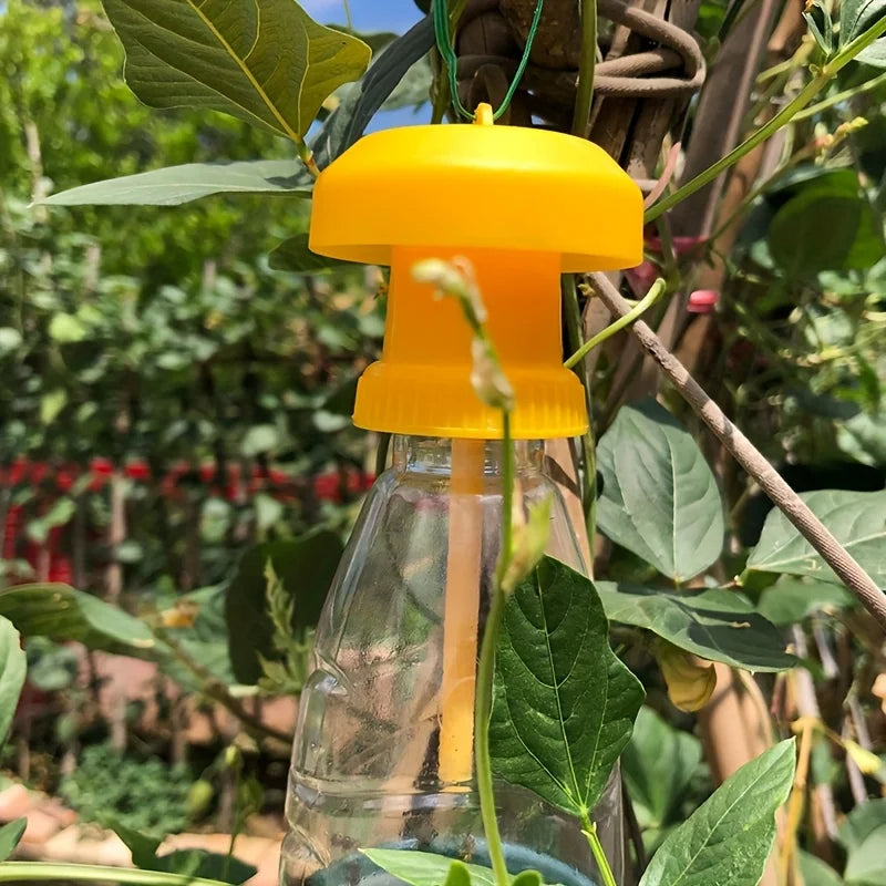 Bottle Fruit Fly Trap with Hanging System and Natural Bait Compatibility