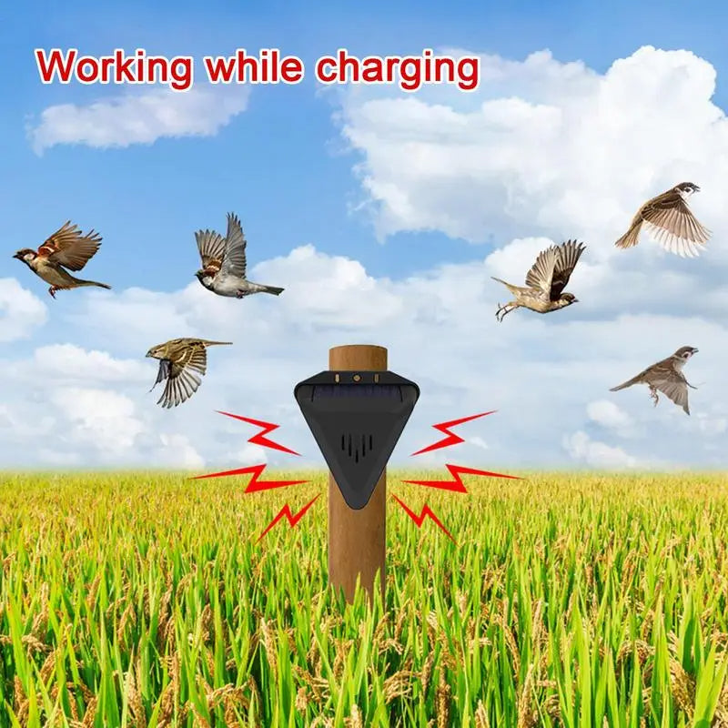 Predator Sound Bird Repeller with Solar Panel and Auto Dawn Activation