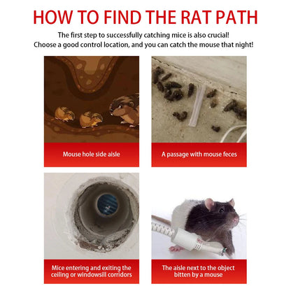 Reusable Mouse Trap Cage with Sliding Door and One Way Entry