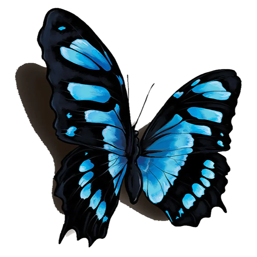 3D Realistic Temporary Tattoo with Water Transfer Application, 2.5 x 4 inches