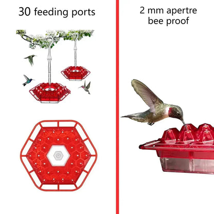 Hummingbird Feeder with Ant Moats and 30 Flower Shaped Ports, Hanging Design