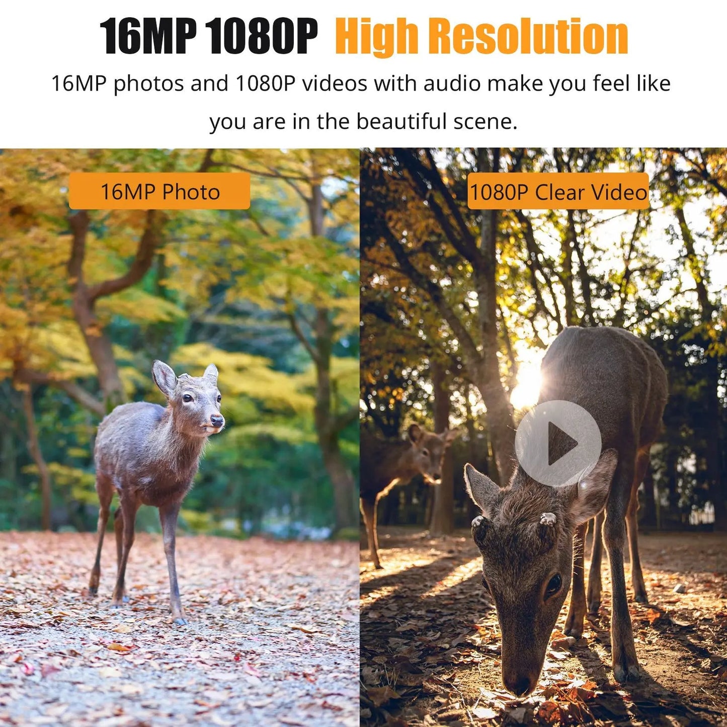 Wildlife Trail Camera with 16MP Photos and 1080P Video, Infrared Night Vision