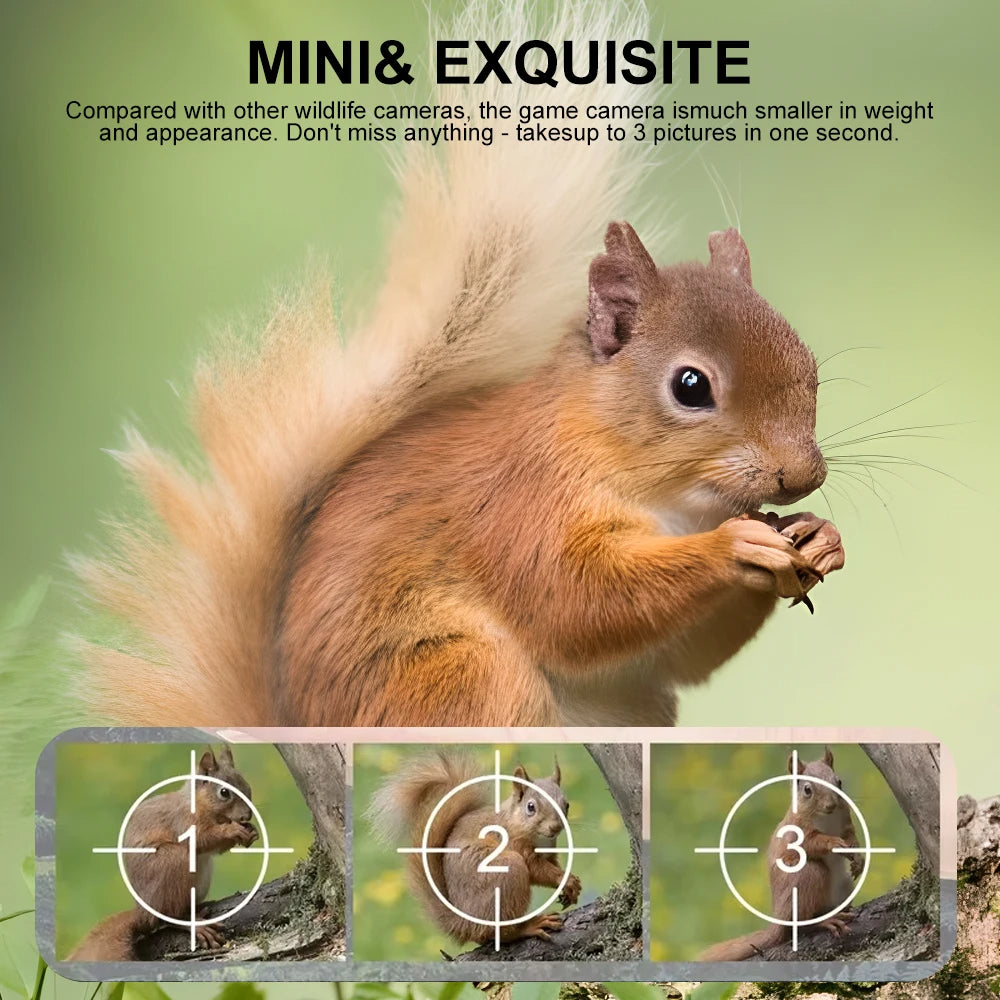 Outdoor Trail Camera with Night Vision and 90 Degree Motion Detection