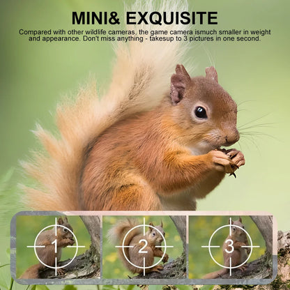 Outdoor Trail Camera with Night Vision and 90 Degree Motion Detection
