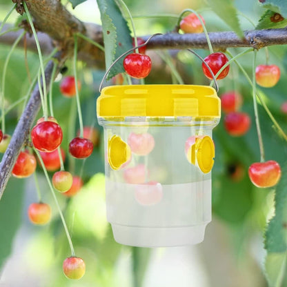 Fruit Fly and Moth Trap with Natural Attractant for Indoor Outdoor Use