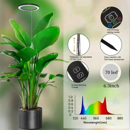 Ring Grow Light with Adjustable Height and Timer Control for Indoor Plants