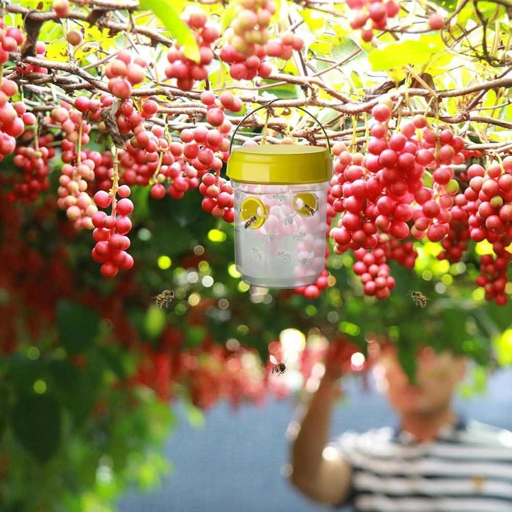 Fruit Fly and Moth Trap with Natural Attractant for Indoor Outdoor Use