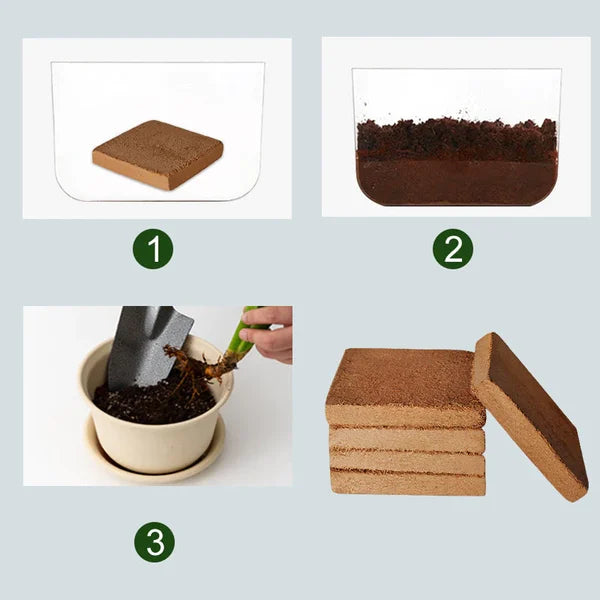 Compressed Coco Coir Block, Water Expanding Growing Medium for Plants
