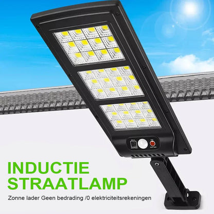 Solar Garden Light with Motion Sensor and Remote Control, 6000K Cool White