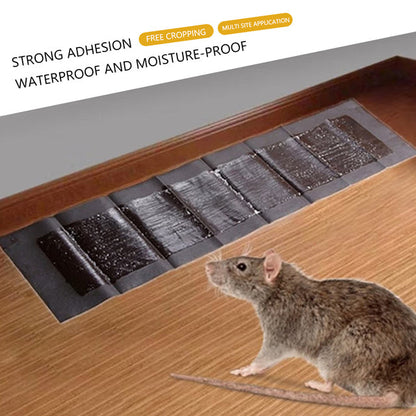 Sticky Mouse Trap Pads with Wide Coverage for Kitchens and Garages, Pack of 5