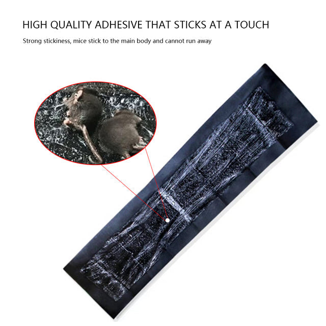 Sticky Mouse Trap Pads with Wide Coverage for Kitchens and Garages, Pack of 5