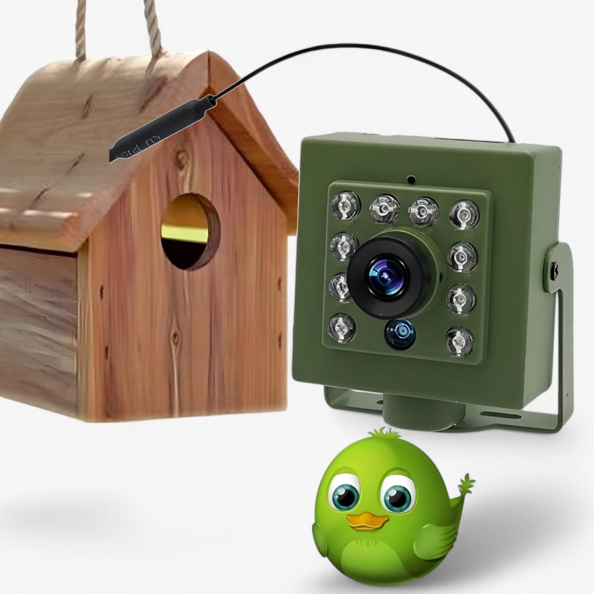 Wildlife Camera with 1080p HD and Infrared Night Vision for Bird Observation