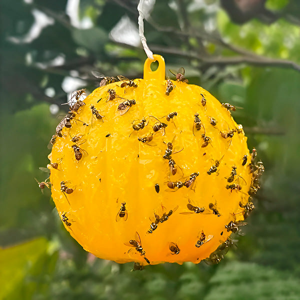 Adhesive Fly Trap for Gardens and Patios with Reusable Hanging System, 6 Pack