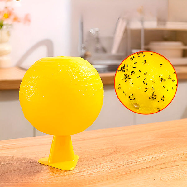 Adhesive Fly Trap for Gardens and Patios with Reusable Hanging System, 6 Pack