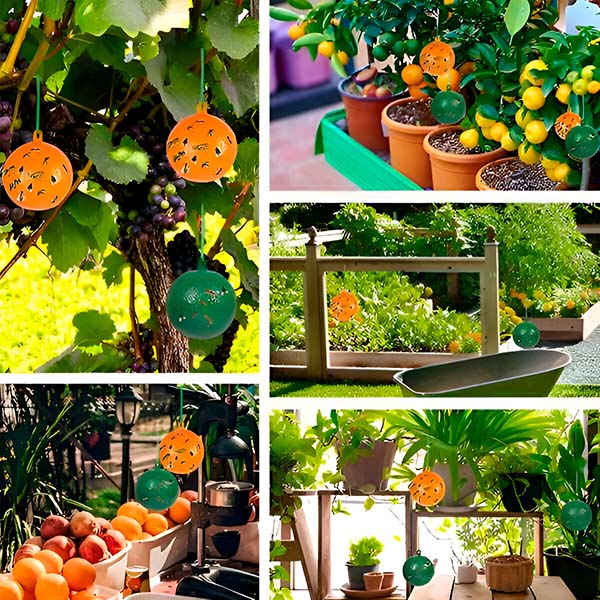 Adhesive Fly Trap for Gardens and Patios with Reusable Hanging System, 6 Pack