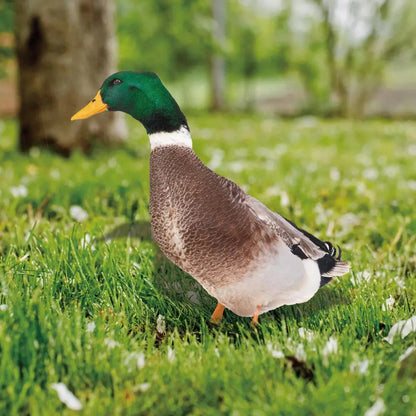 Garden Duck Silhouette Stake with Double-Sided Print