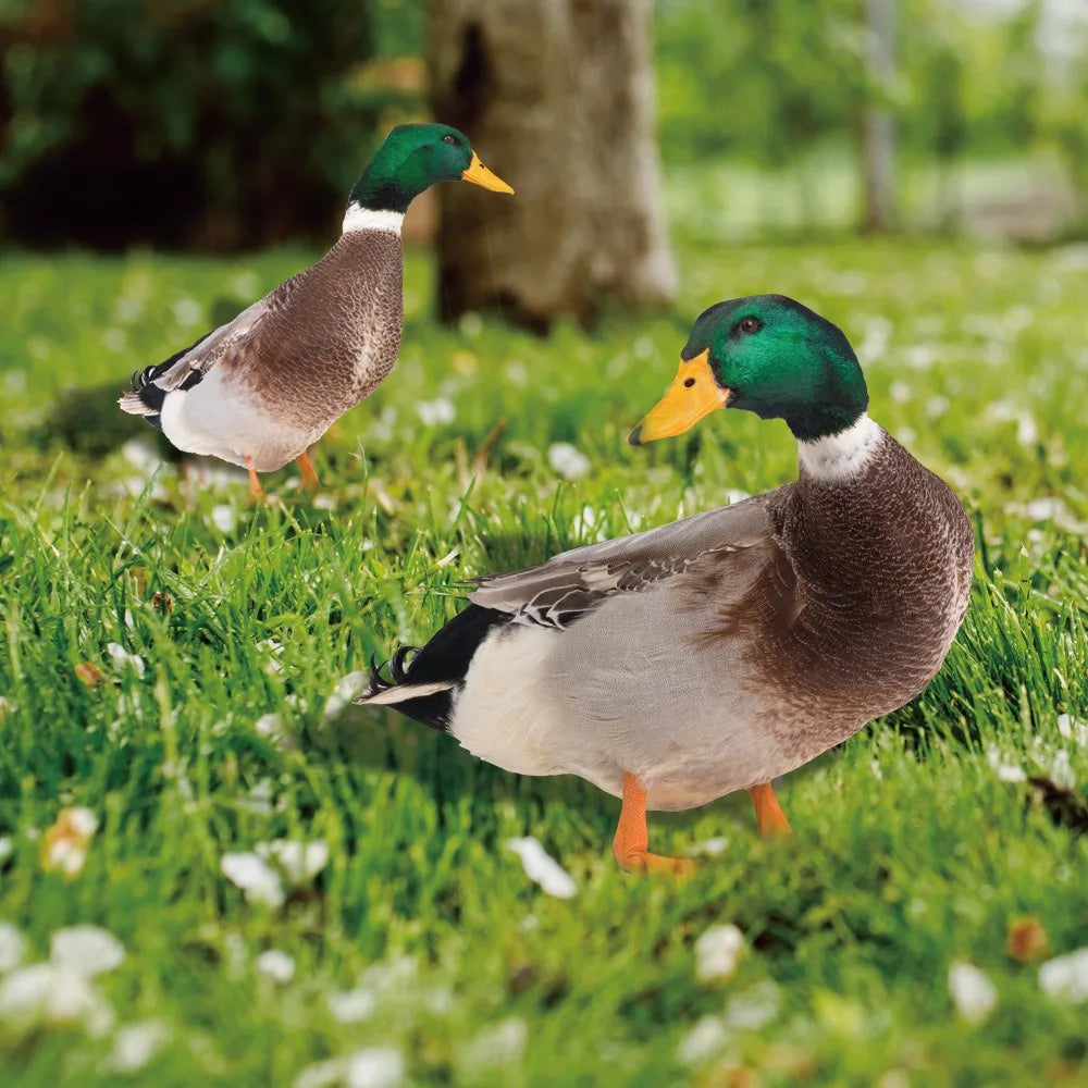 Garden Duck Silhouette Stake with Double-Sided Print