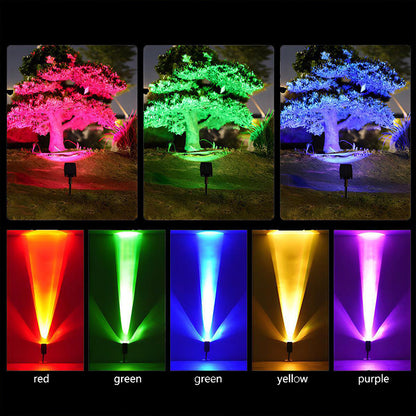 Solar LED Pathway Light with Adjustable Zoom Beam and RGB Color Options