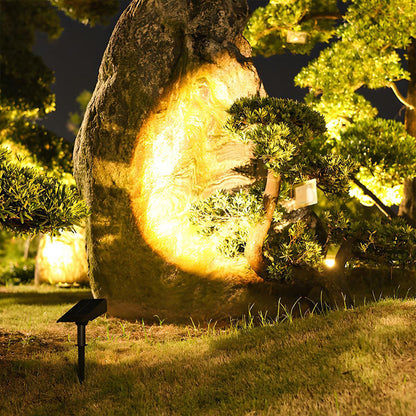 Solar LED Pathway Light with Adjustable Zoom Beam and RGB Color Options