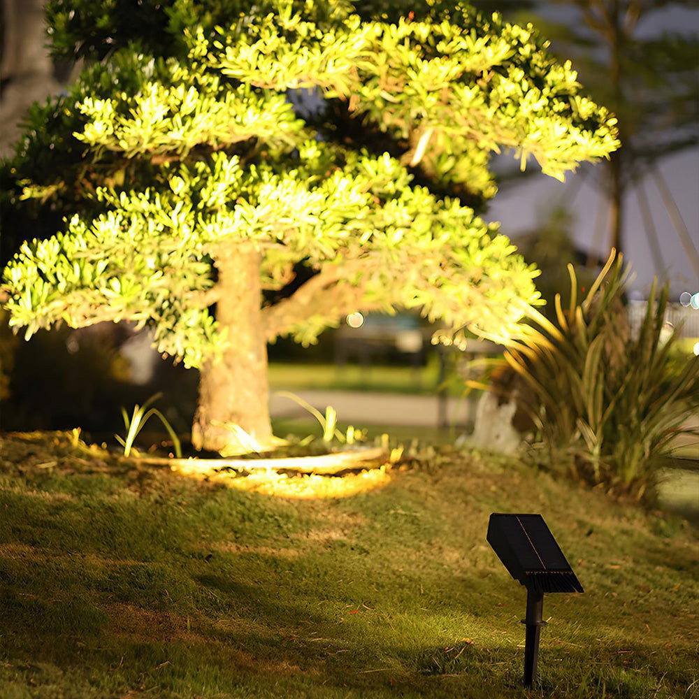 Solar LED Pathway Light with Adjustable Zoom Beam and RGB Color Options