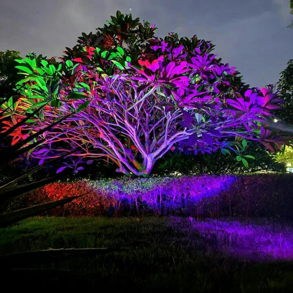 Solar LED Pathway Light with Adjustable Zoom Beam and RGB Color Options