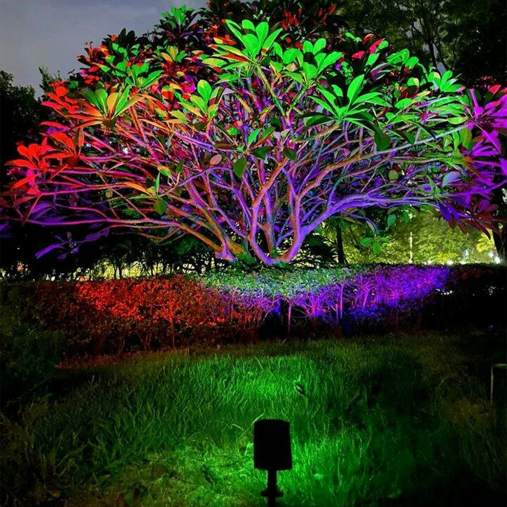 Solar LED Pathway Light with Adjustable Zoom Beam and RGB Color Options