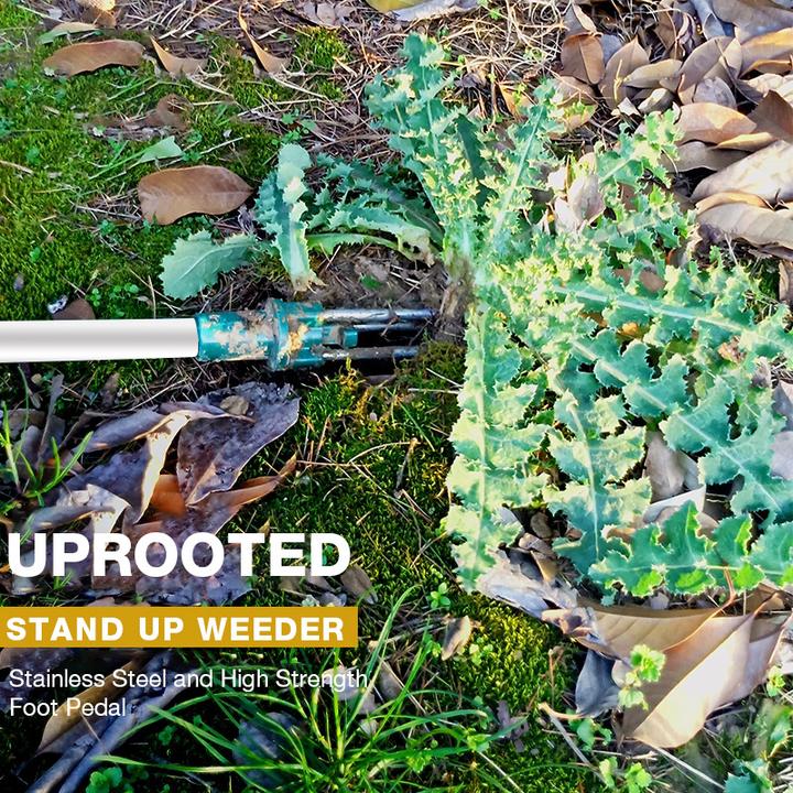 Standing Weed Puller with Three Steel Claws and Foot Pedal