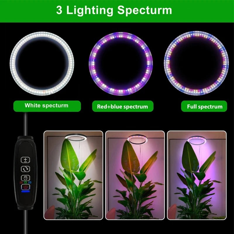 Ring Grow Light with Adjustable Height and Timer Control for Indoor Plants