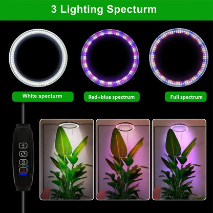 Ring Grow Light with Adjustable Height and Timer Control for Indoor Plants