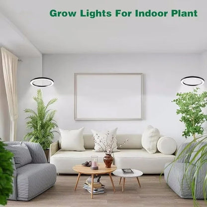 Ring Grow Light with Adjustable Height and Timer Control for Indoor Plants