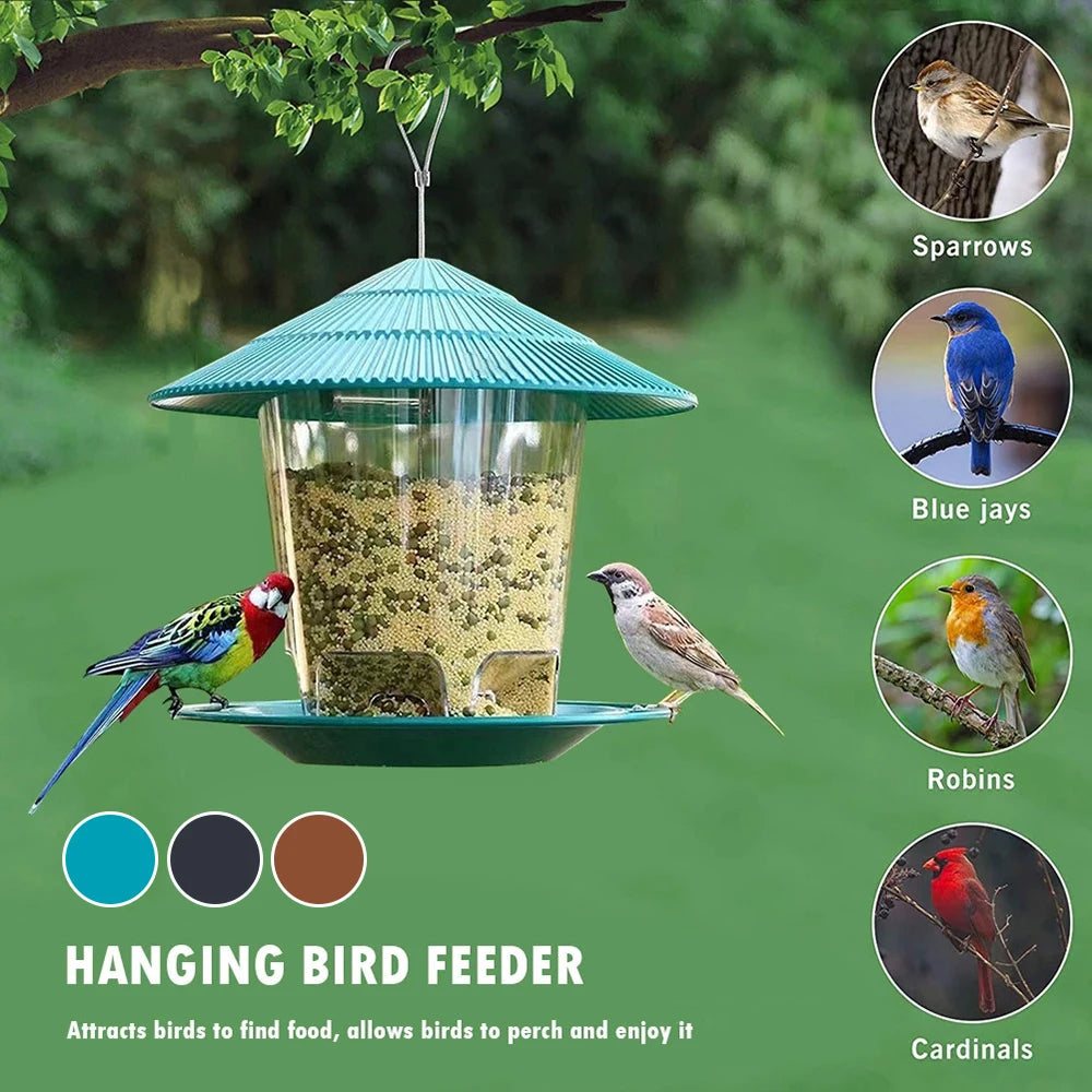 Hexagonal Bird Feeder with Gravity Seed Dispenser and Transparent Container