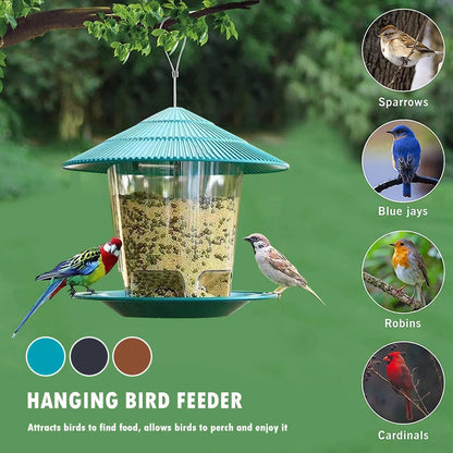 Hexagonal Bird Feeder with Gravity Seed Dispenser and Transparent Container