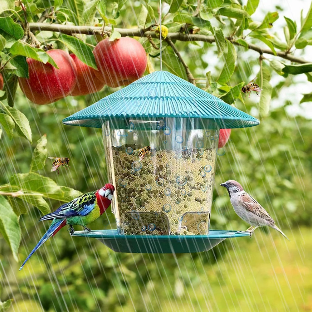 Hexagonal Bird Feeder with Gravity Seed Dispenser and Transparent Container