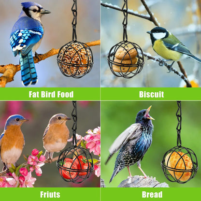 Rust-Resistant Metal Bird Feeder with Mesh Cage and Hanging Chain, Set of 4