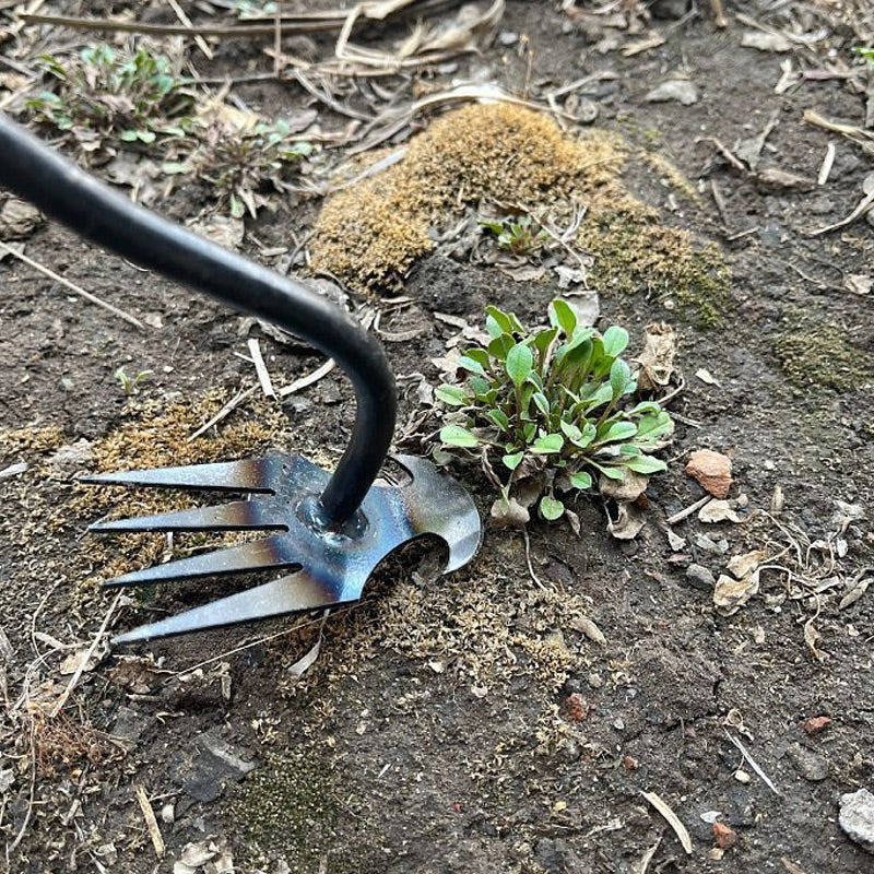 Steel Garden Weed Extractor with Four-Tooth Head and Extended Handle