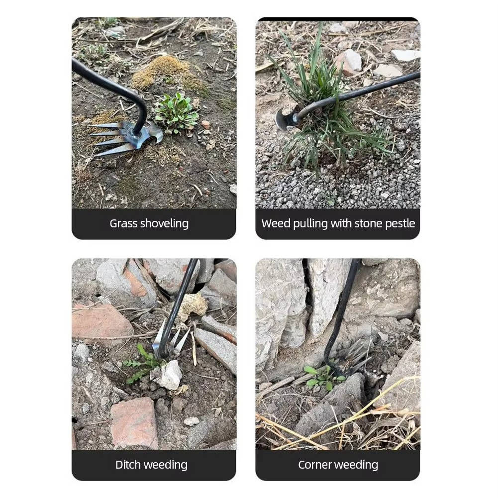 Steel Garden Weed Extractor with Four-Tooth Head and Extended Handle
