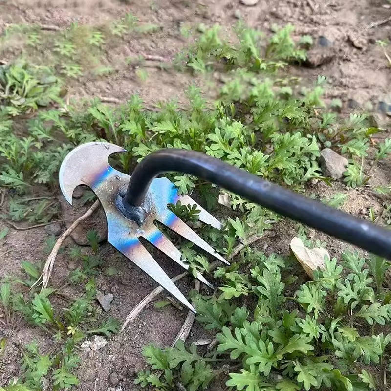 Steel Garden Weed Extractor with Four-Tooth Head and Extended Handle