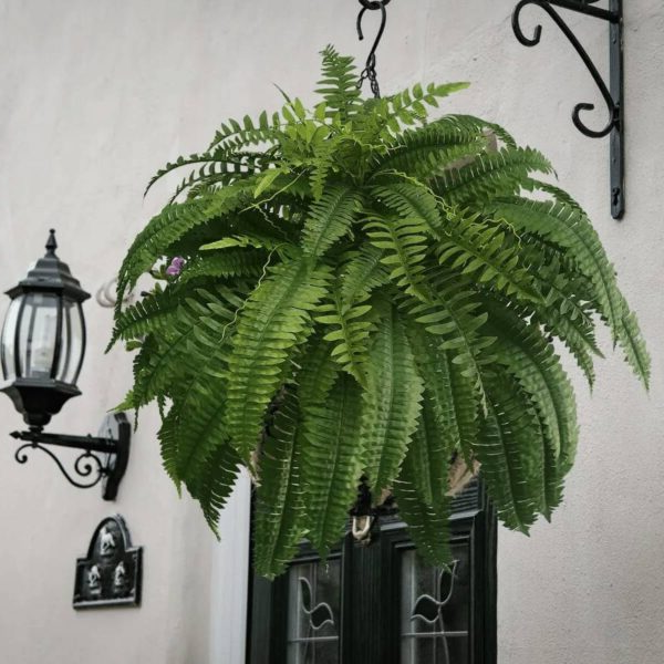 Artificial Boston Fern with 18 Flexible Branches and UV Resistant Coating, 43in Spread