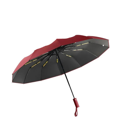 Manual Foldable Umbrella with Reinforced Frame and Rain Sun Coverage