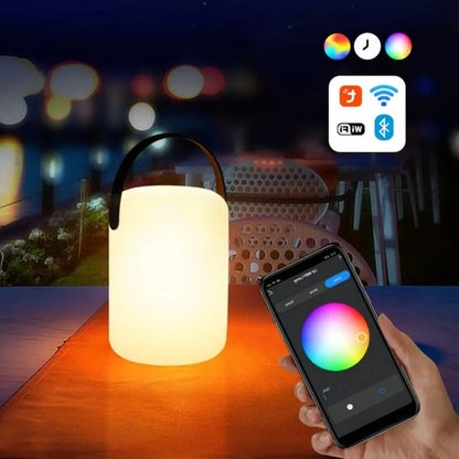 Rechargeable LED Table Lamp with Remote Control and Type C Charging Port